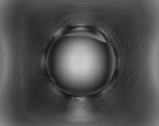 X0000087680478200705041032