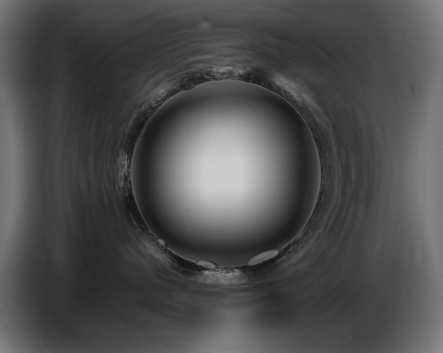 X0000087680480200705041032