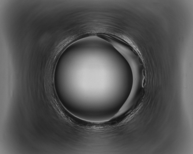 X0000087680481200705041031