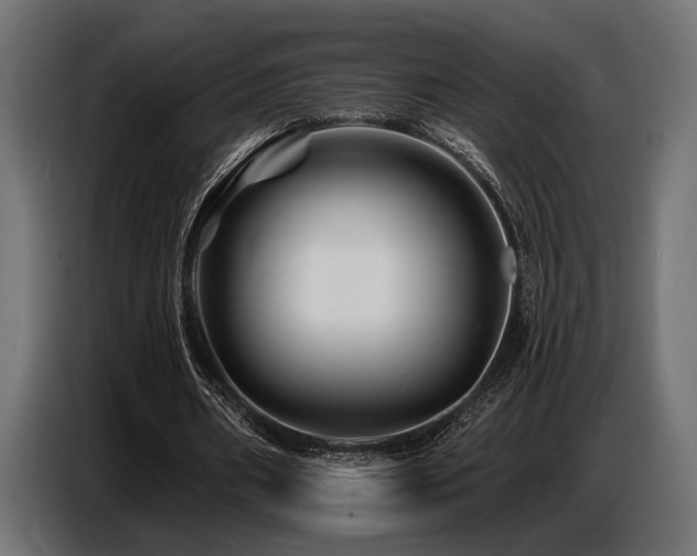 X0000087680482200705041031