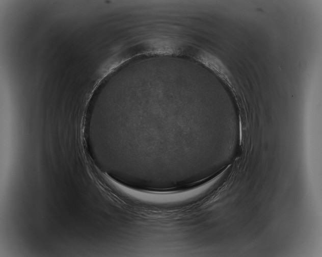 X0000087680483200705041031