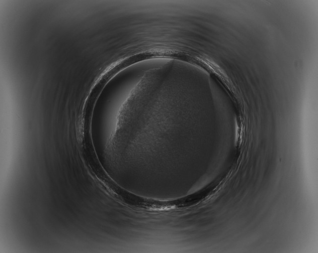 X0000087680484200705041031