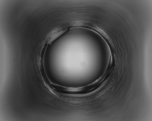 X0000087680485200705041031