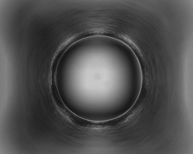 X0000087680486200705041031