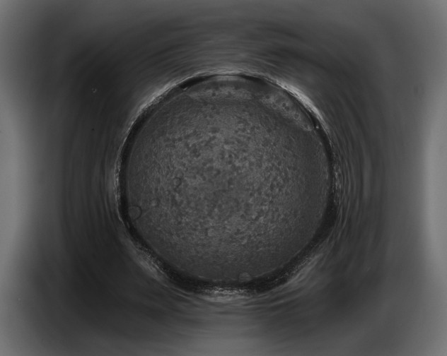 X0000087680487200705041031
