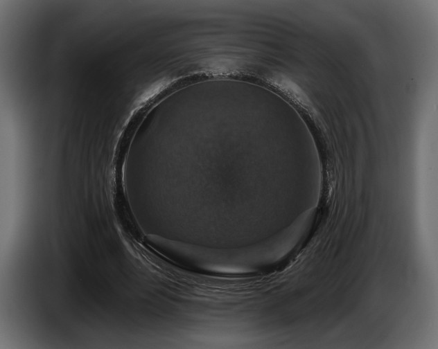 X0000087680488200705041031