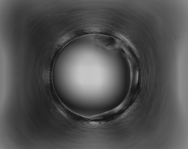 X0000087680489200705041031