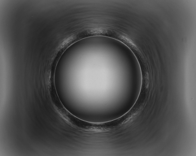 X0000087680490200705041031
