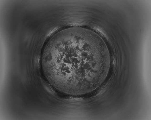 X0000087680491200705041031