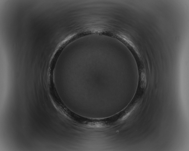 X0000087680492200705041031