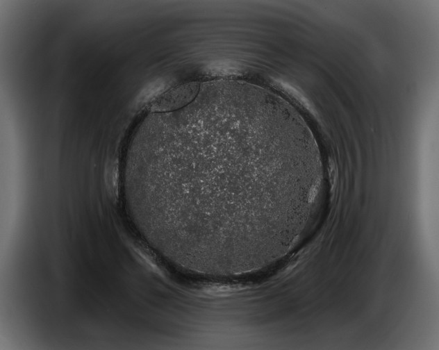 X0000087680494200705041031