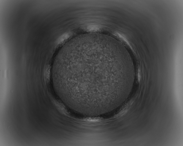 X0000087680495200705041031