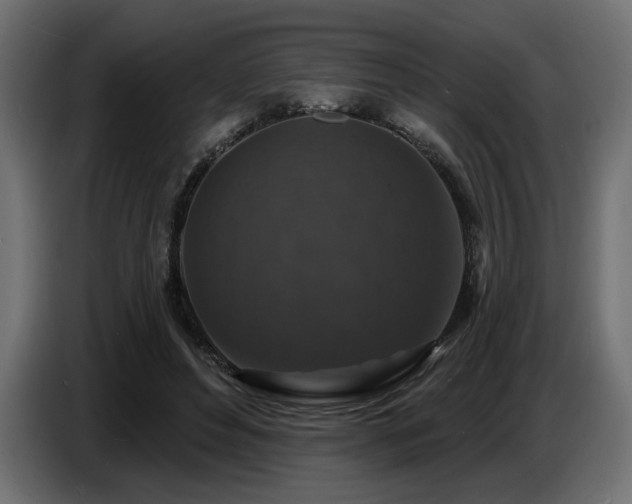 X0000087680496200705041031
