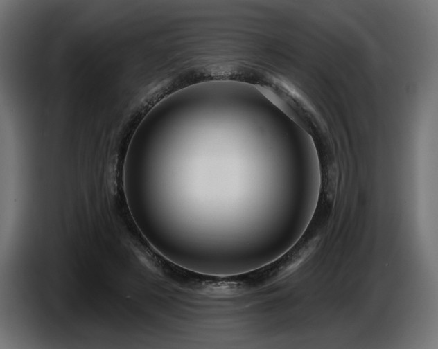 X0000087680497200705041031