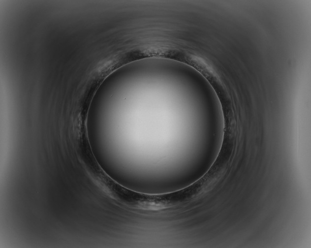 X0000087680498200705041031