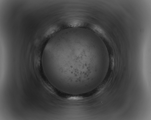X0000087680499200705041031