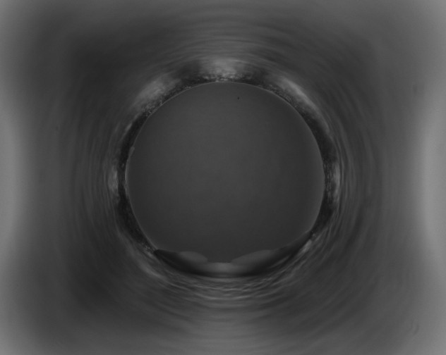 X0000087680500200705041031
