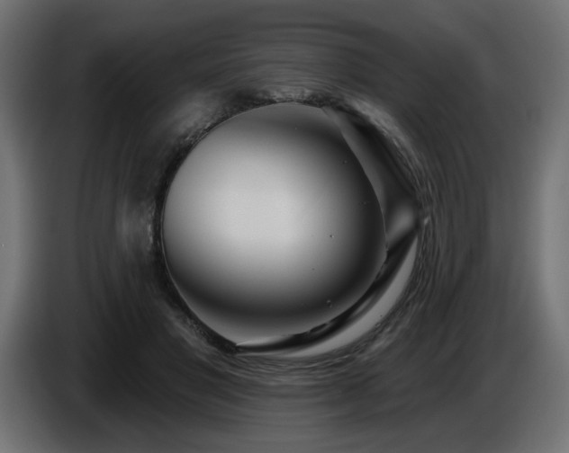 X0000087680501200705041031