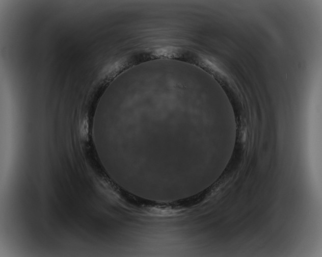 X0000087680502200705041031