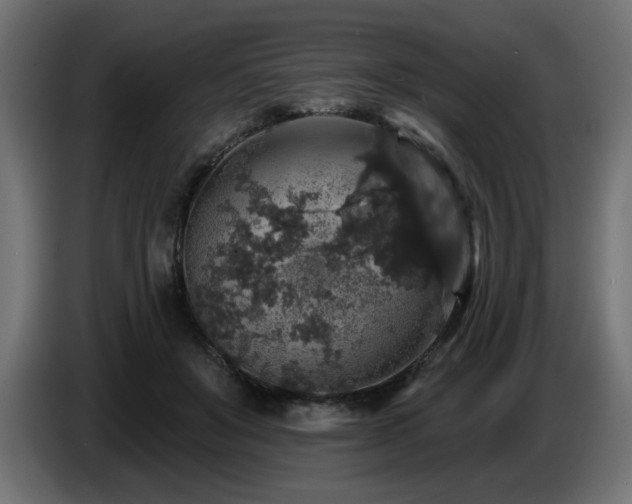 X0000087680503200705041031