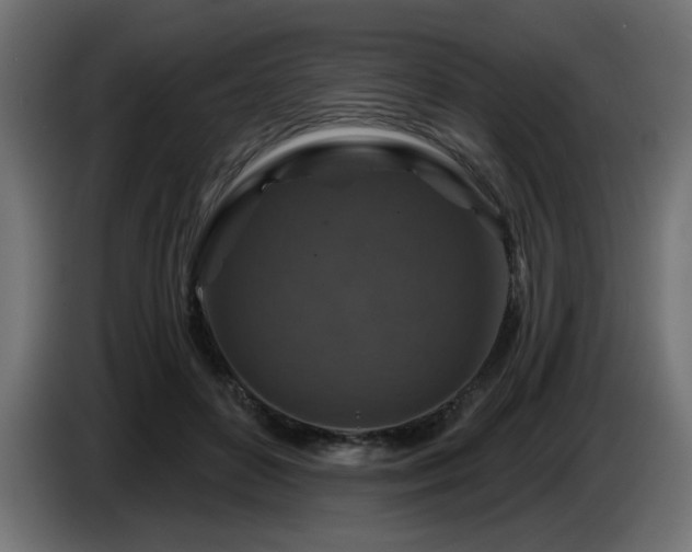 X0000087680504200705041031