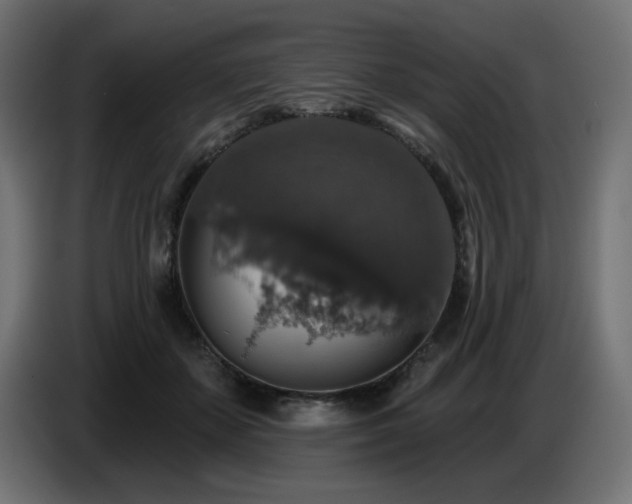X0000087680507200705041031