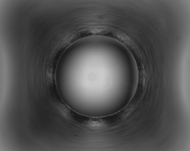 X0000087680510200705041031