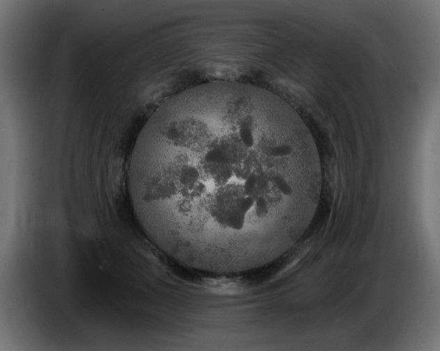 X0000087680511200705041031