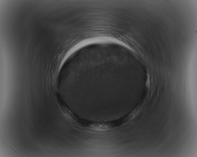 X0000087680512200705041031