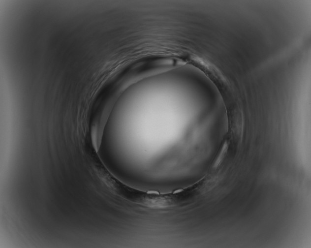 X0000087680513200705041031