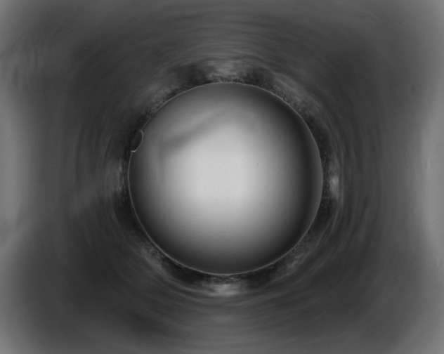 X0000087680514200705041031
