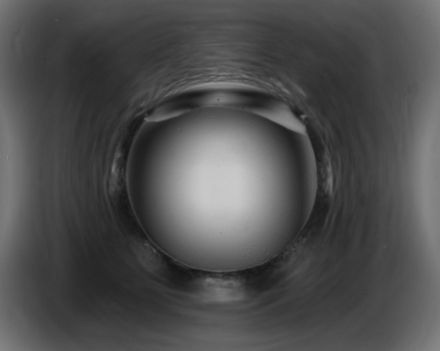 X0000087680515200705041031