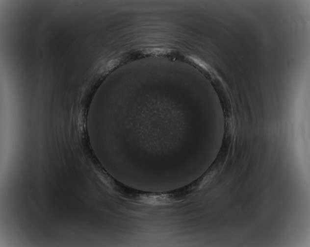 X0000087680517200705041031