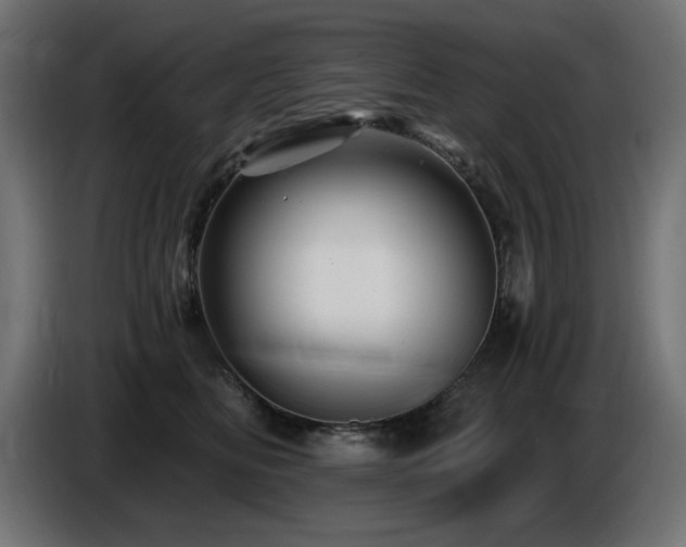 X0000087680518200705041031