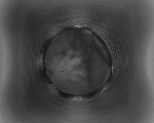X0000087680519200705041031