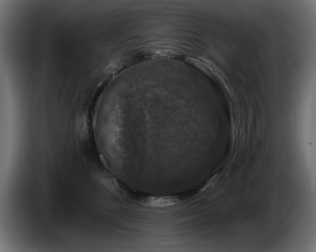 X0000087680520200705041031