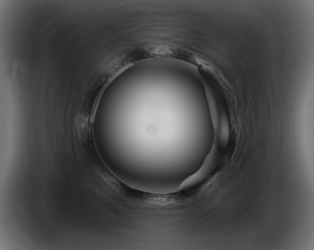 X0000087680521200705041031