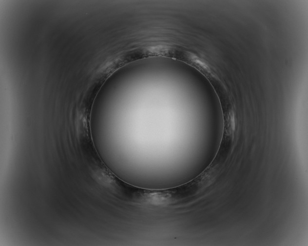 X0000087680522200705041031