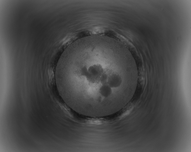 X0000087680523200705041031