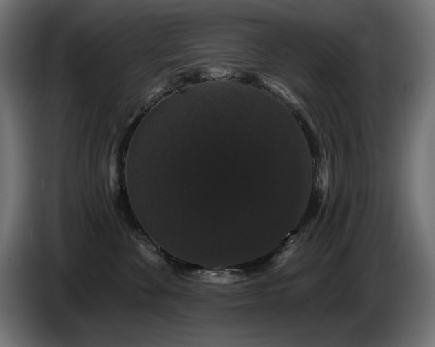X0000087680524200705041031