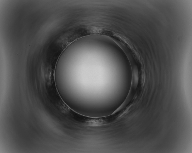 X0000087680525200705041031