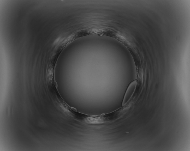 X0000087680526200705041031