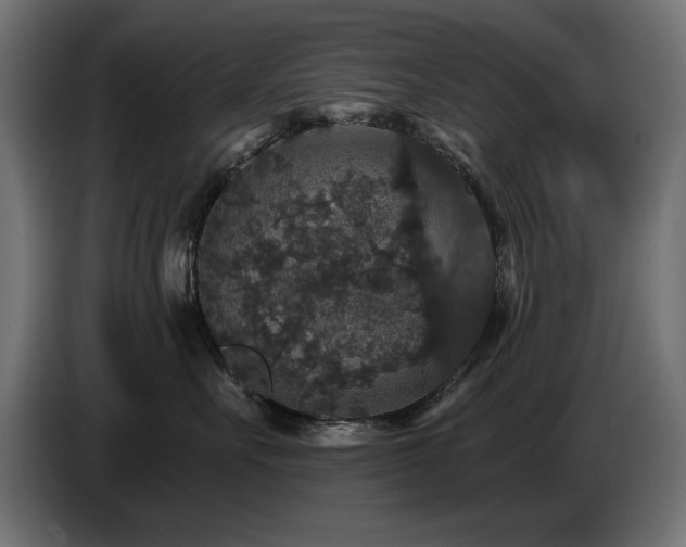X0000087680527200705041031