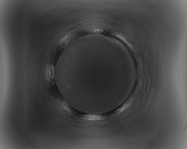 X0000087680528200705041031