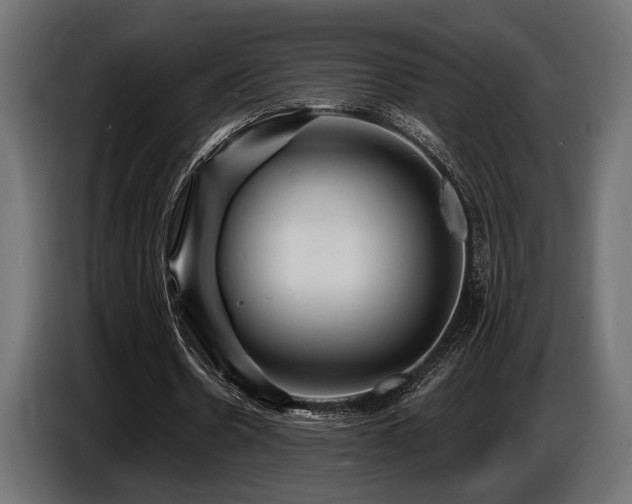 X0000087680530200705041030