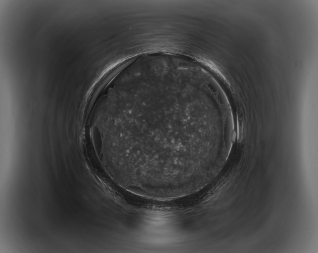 X0000087680531200705041030