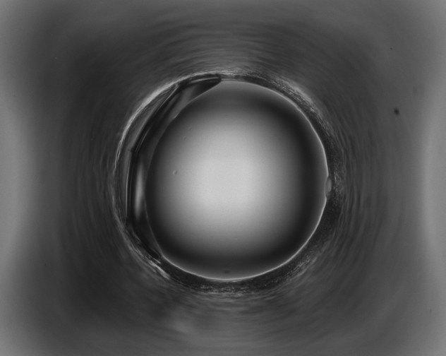 X0000087680532200705041030