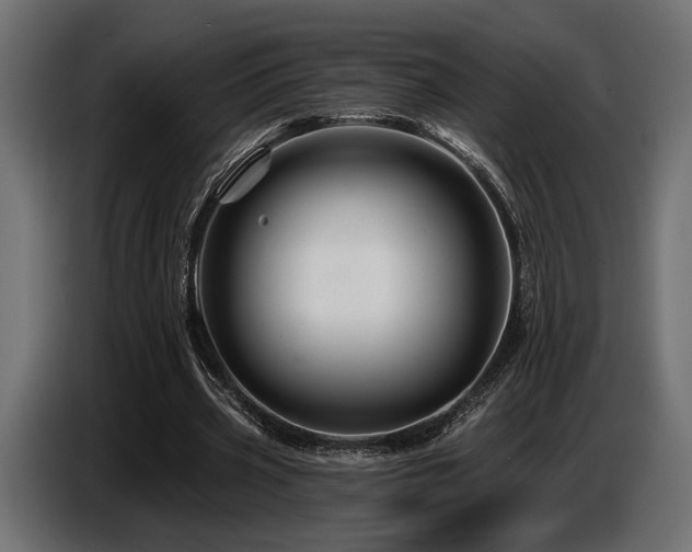 X0000087680533200705041030