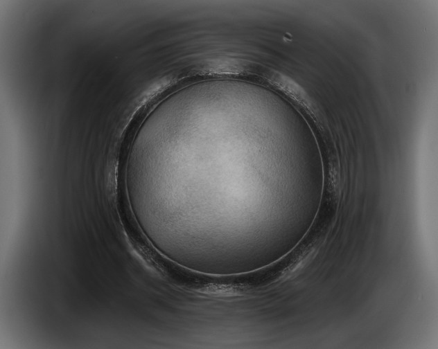 X0000087680534200705041030