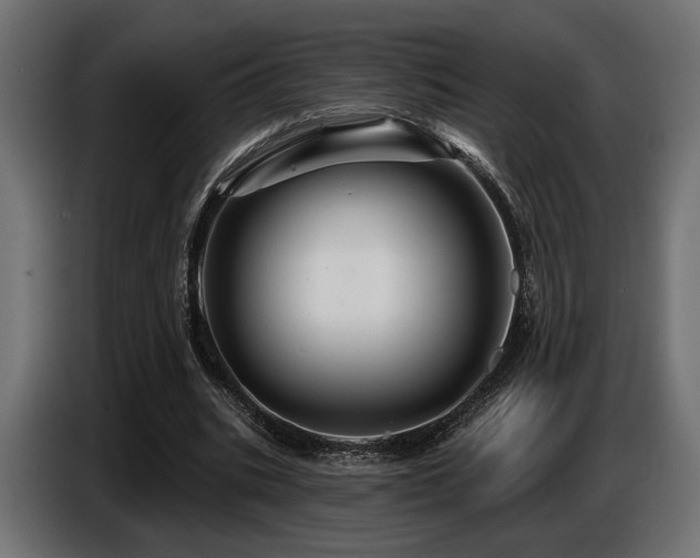 X0000087680535200705041030